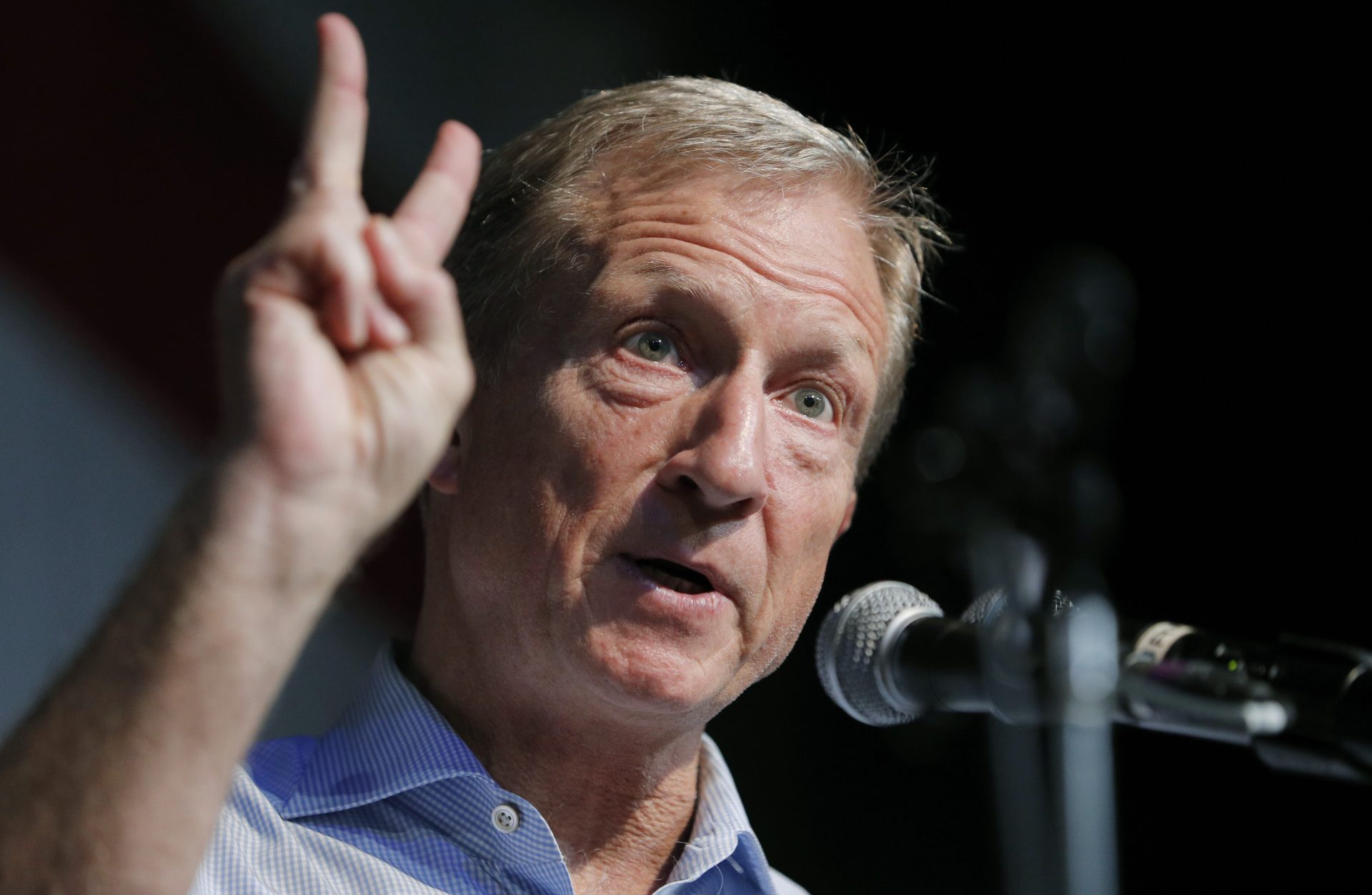 FILE PHOTO: In this Aug. 9, 2019 photo, Democratic presidential candidate and businessman Tom Steyer speaks at the Iowa Democratic Wing Ding at the Surf Ballroom in Clear Lake, Iowa. 
