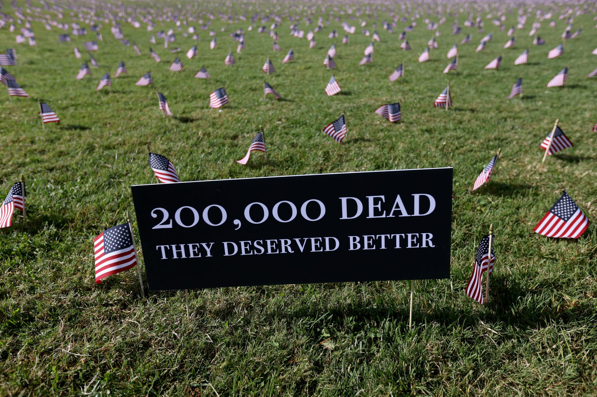 Thousands of U.S. flags were planted on the National Mall in Washington, D.C., this September as part of the COVID Memorial Project installation.