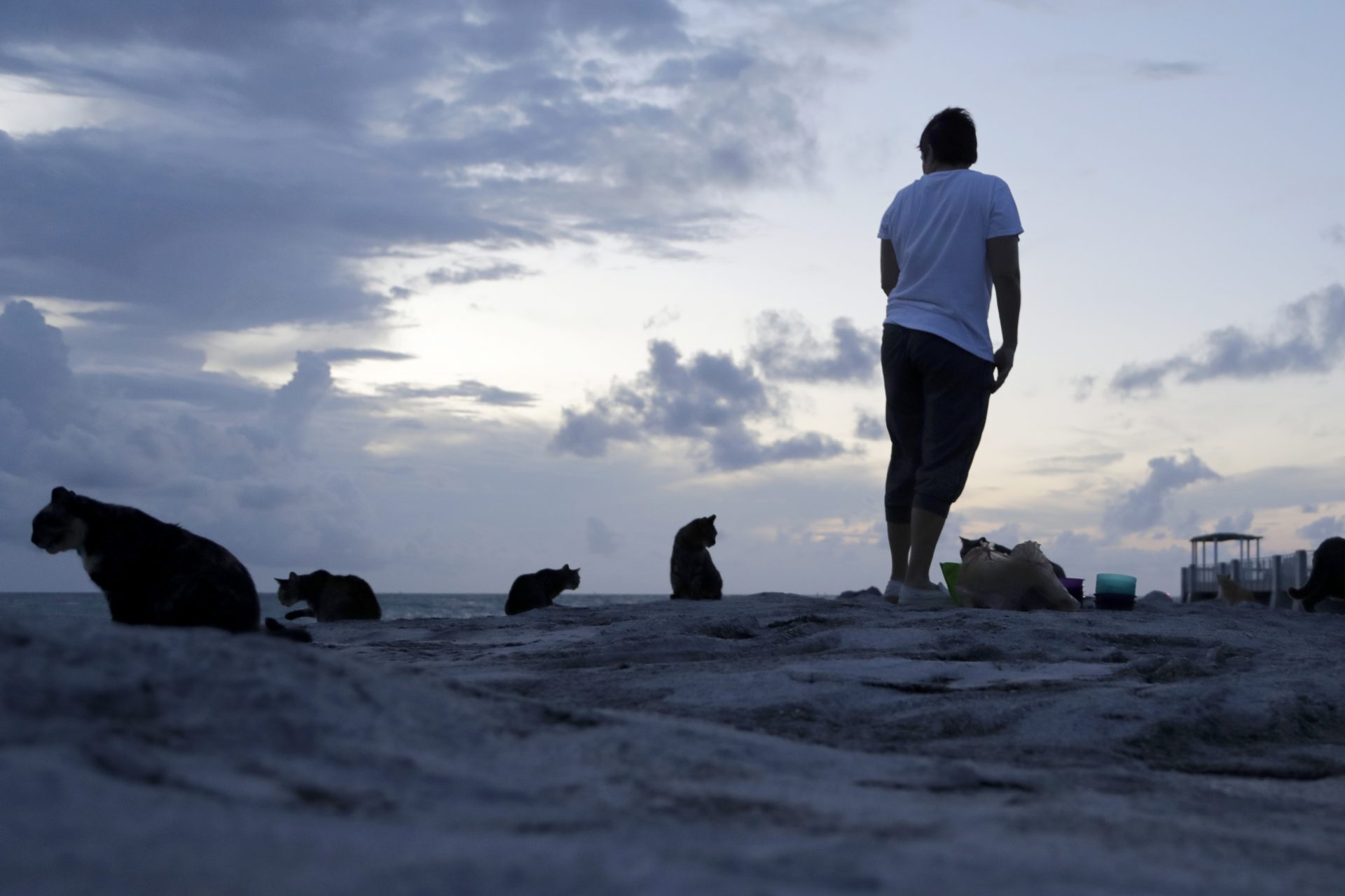 A woman who gave her name as Cindy feeds stray cats at South Pointe Park, Saturday, Aug. 31, 2019, in Miami Beach, Fla. Forecasters say Hurricane Dorian will threaten the Florida peninsula late Monday or early Tuesday. (AP Photo/Lynne Sladky)