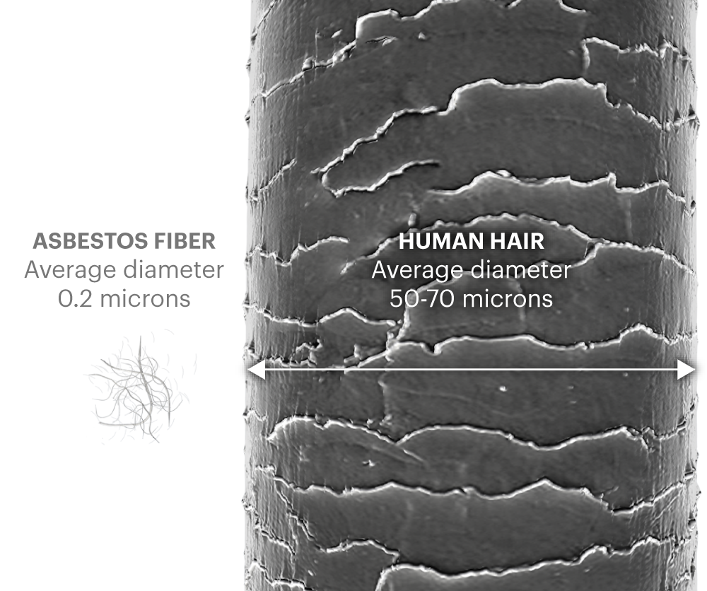 Asbestos fibers compared to the thickness of a human hair.