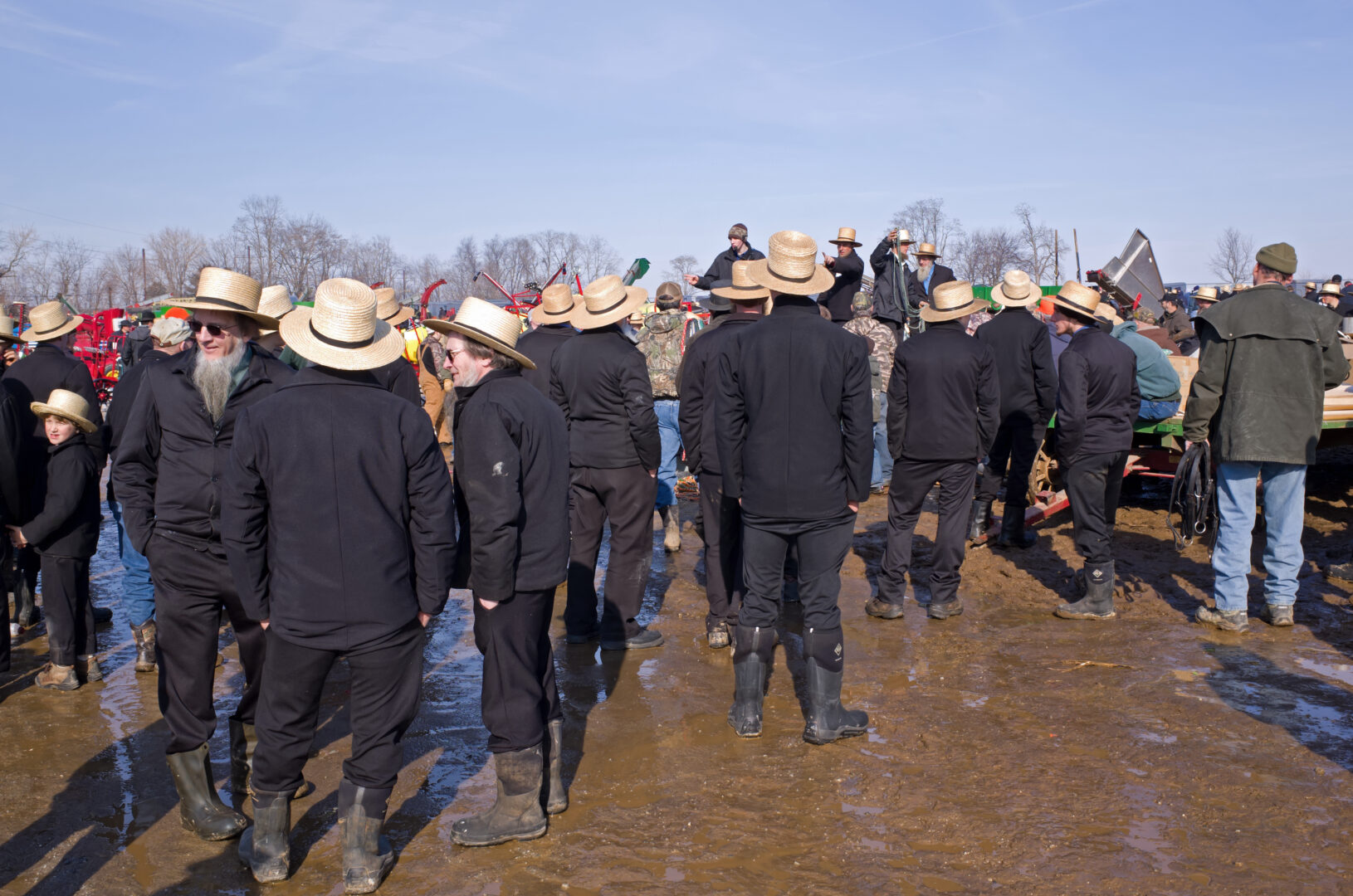 What to know about Amish mud sales in Pennsylvania WITF