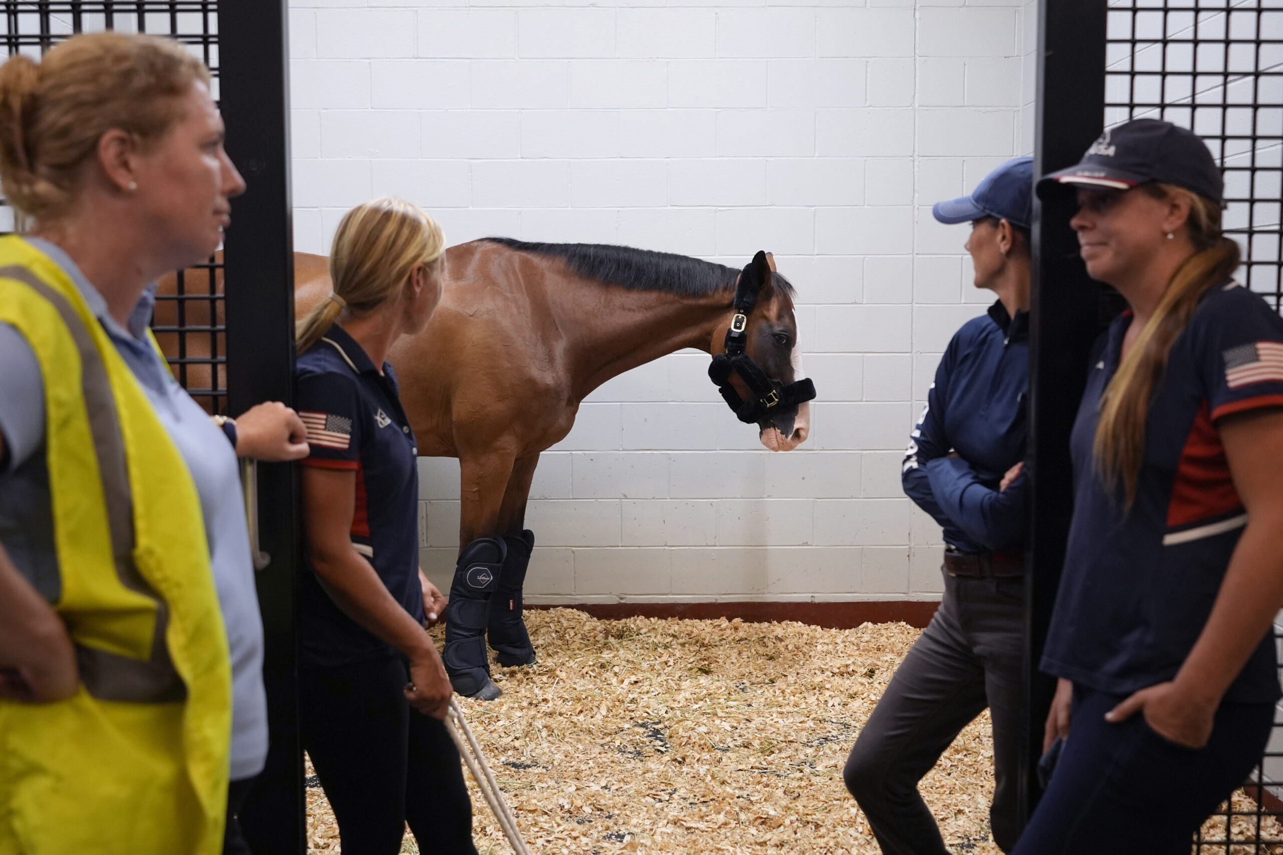 Horses take to the air with passports and carryons ahead of Olympics | WITF