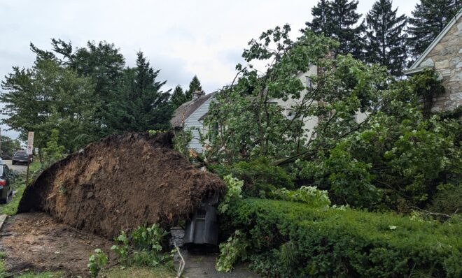 An uprooted tree blocks the sidewalk on Market St. in Harrisburg on Aug. 9, 2024. The remnants of Hurricane Debby caused flooding and felled trees throughout Pennsylvania. 