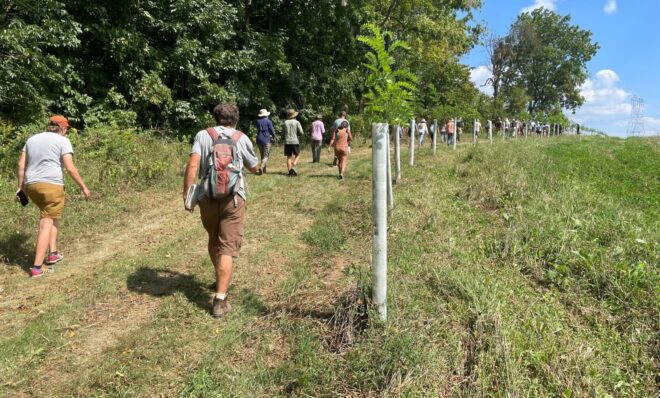 Participants at a Pasa Sustainable Agriculture workshop highlighting an agroforestry project at Wild Fox Farm walk past a planting of black locust trees in October 2023. 