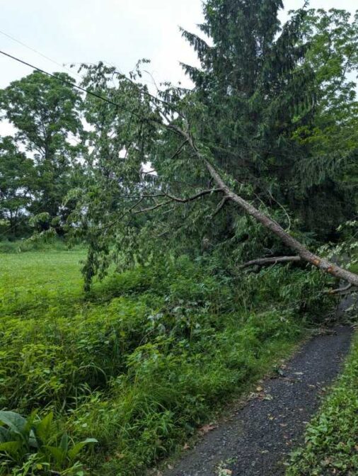 A tree fell on power lines over a driveway in rural Perry County, PA, on Saturday, July 4.