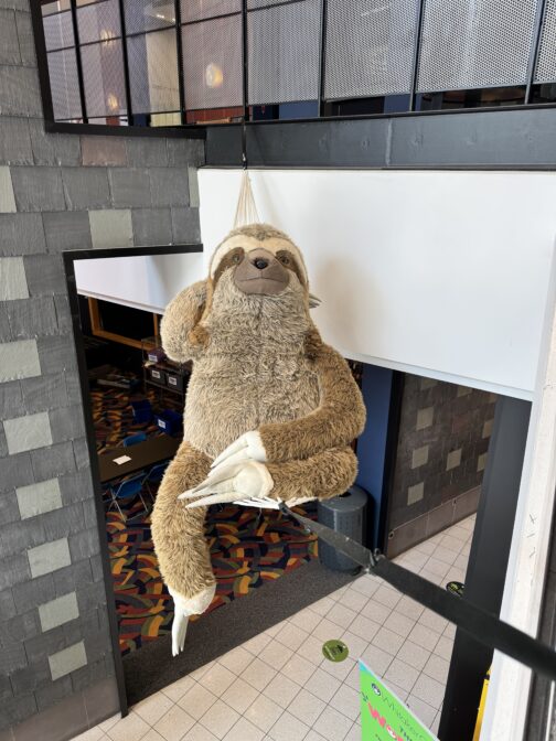 A giant stuffed sloth relaxes in a hammock above the entrance to the Whitaker Center's reception. The sloth is part of the Under The Canopy traveling exhibit, which will be replaced in September by an exhibit focused on space. 